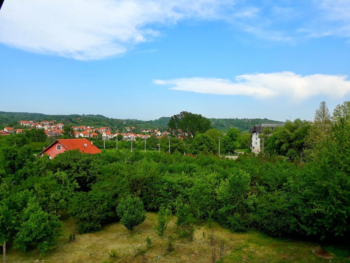 Vila Simic Soko Banja Bagian luar foto