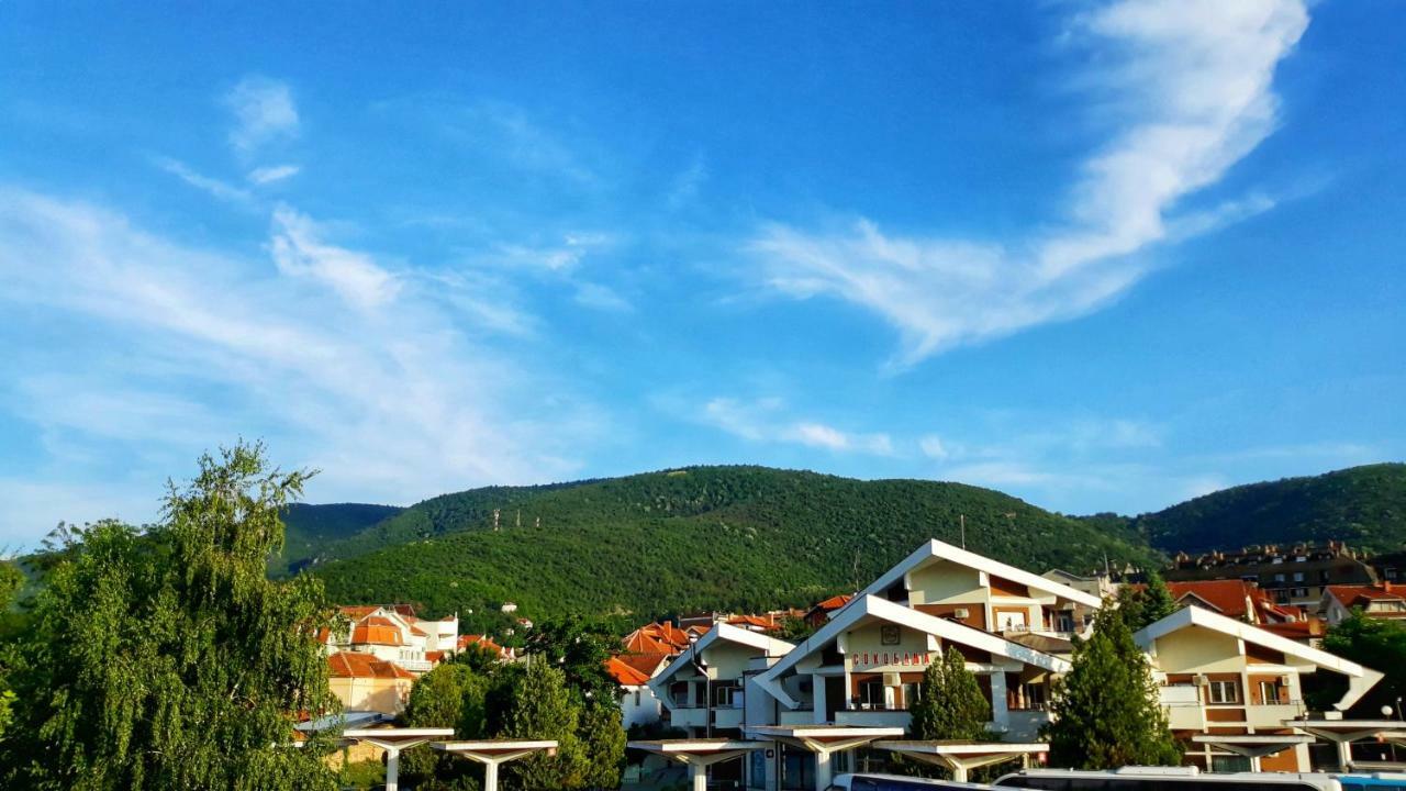 Vila Simic Soko Banja Bagian luar foto
